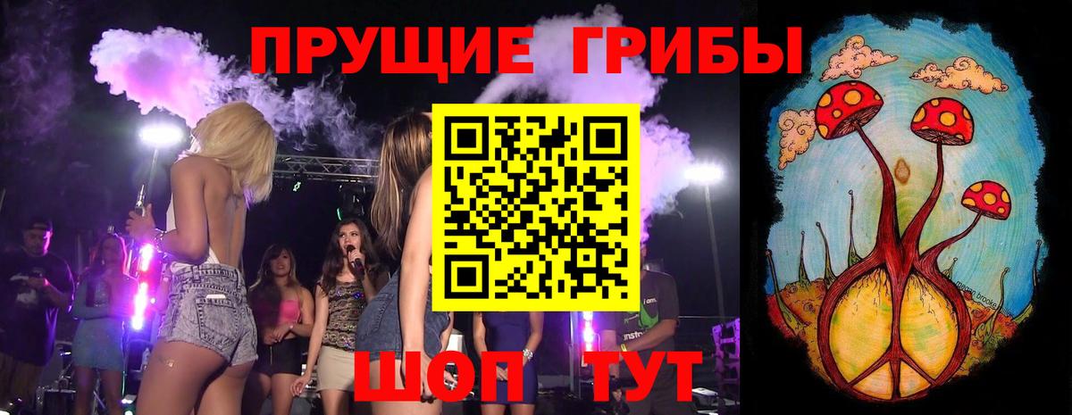 Сунжа  Псилоцибиновые грибы MAGIC MUSHROOMS  где продают наркотики  Галлюциногенные грибы Cubensis  Вход с VPN 
